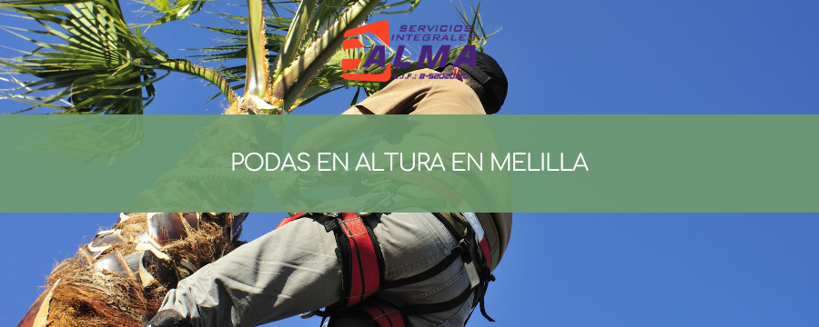 podas en altura en Melilla