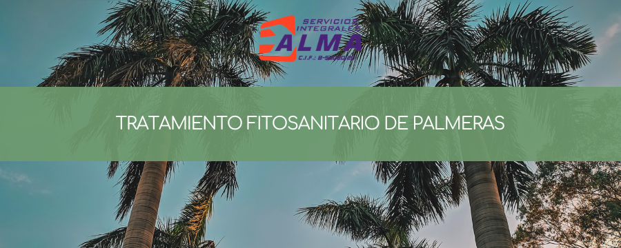 Tratamiento fitosanitario de palmeras